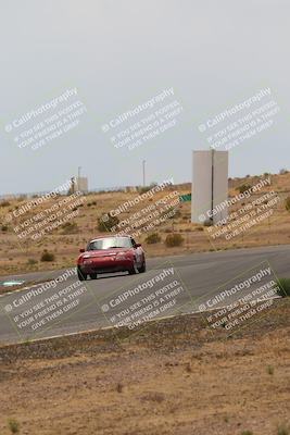 media/May-03-2025-Lucky Dog Racing (Sat) [[206de64b9d]]/Turn 6 (150pm-230pm)/